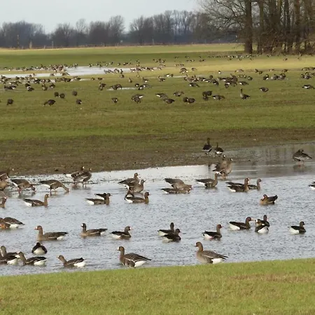 Luettingen Mit Fahrradgarage Homestay szállás Xanten