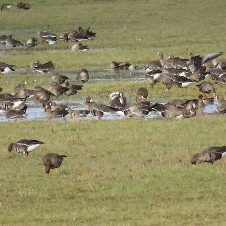 Luettingen Mit Fahrradgarage Alloggio in famiglia
