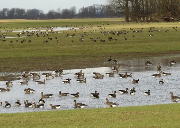 Luettingen Mit Fahrradgarage 홈스테이 크산텐