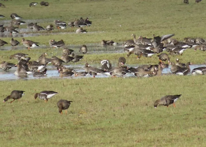 Luettingen Mit Fahrradgarage 홈스테이