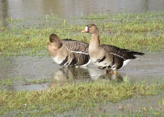 منزل للإقامة Luettingen Mit Fahrradgarage إكسانتن
